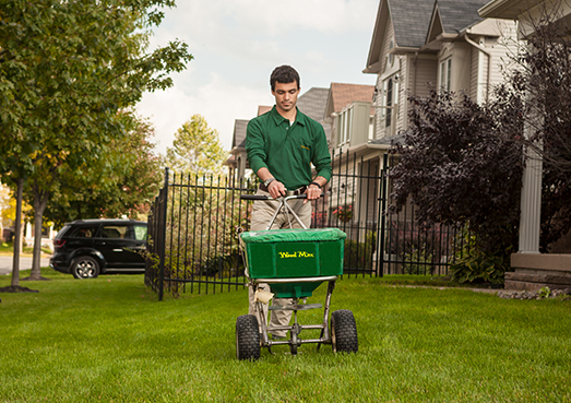 Weed Man technician fertilizing green lawn